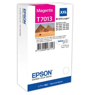Inkout Epson T7013 (C13T70134010) na 3400 stran